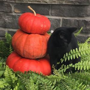 Meet your Posher, Kerry